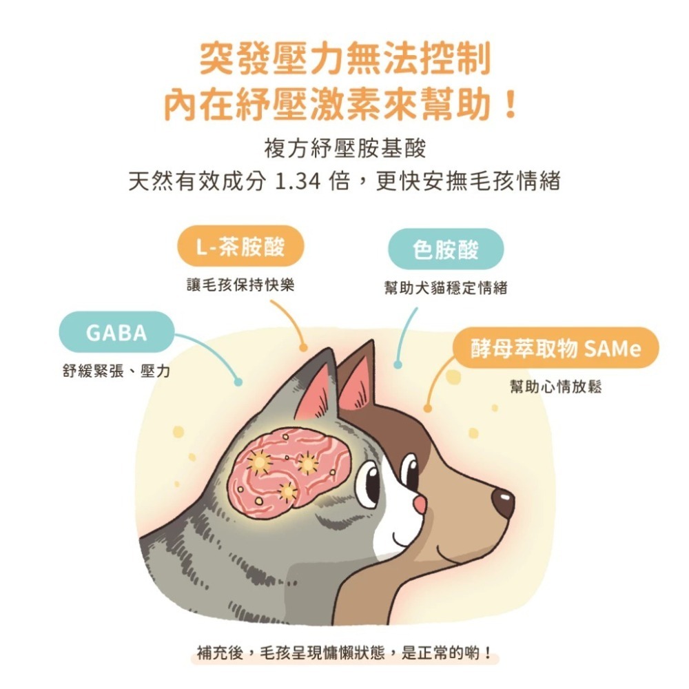 汪喵星球 紓壓胺基酸 犬貓紓壓胺基酸2gx20包 安撫毛孩 舒緩焦慮 茶胺酸 色胺酸 酵母萃取 高適口性 隨手包-細節圖3