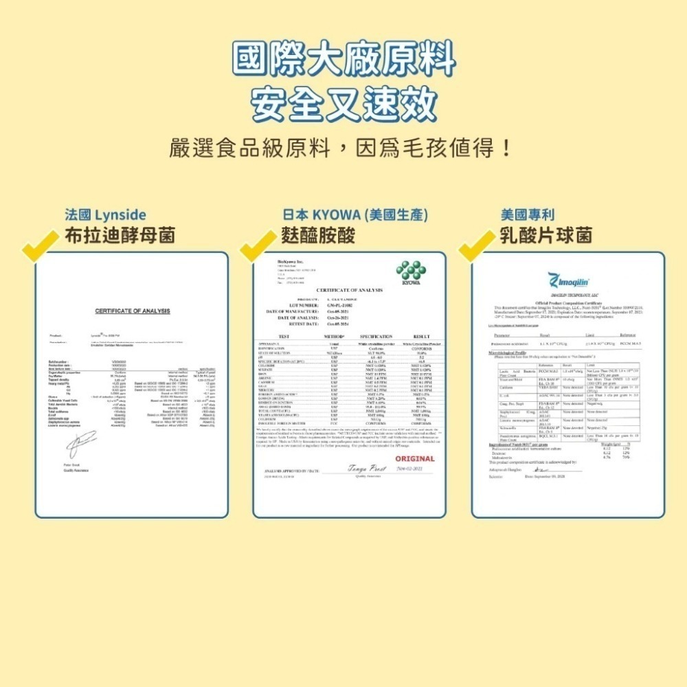 汪喵星球 軟便剋星1.5gx20包  益生菌 腸道穩定 便便好成形 舒緩軟便 布拉迪酵母菌 乳酸片球菌-細節圖7