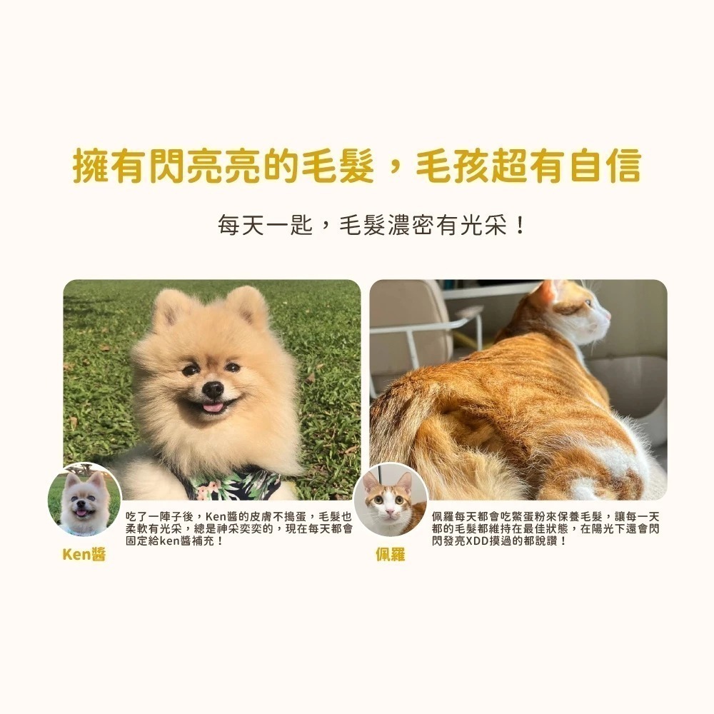 汪喵星球 亮毛護膚鱉蛋粉 60g 皮膚毛髮照護 天然 卵磷脂 魚油 Omega3 膠原蛋白胜肽 酵母維生素B群-細節圖7