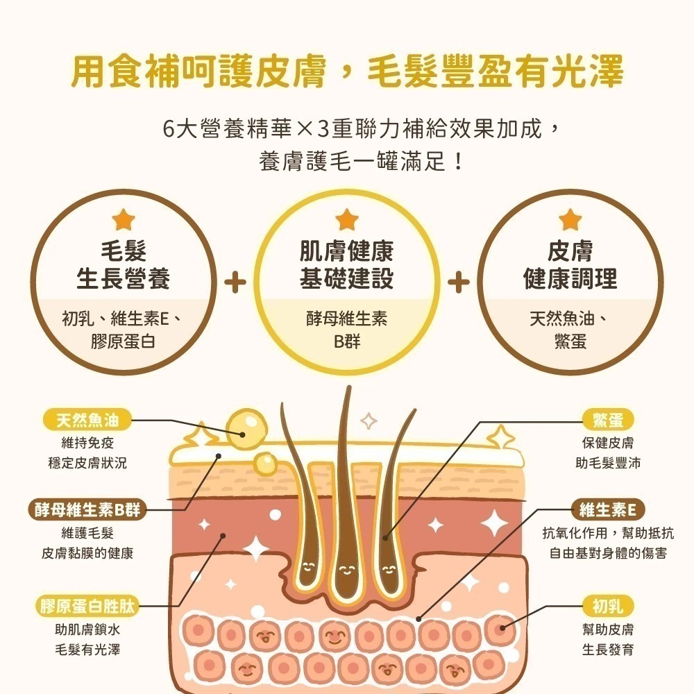 即期品 汪喵星球 亮毛護膚鱉蛋粉 60g 皮膚毛髮照護 天然 卵磷脂 魚油 Omega3 膠原蛋白胜肽 酵母維生素B群-細節圖8