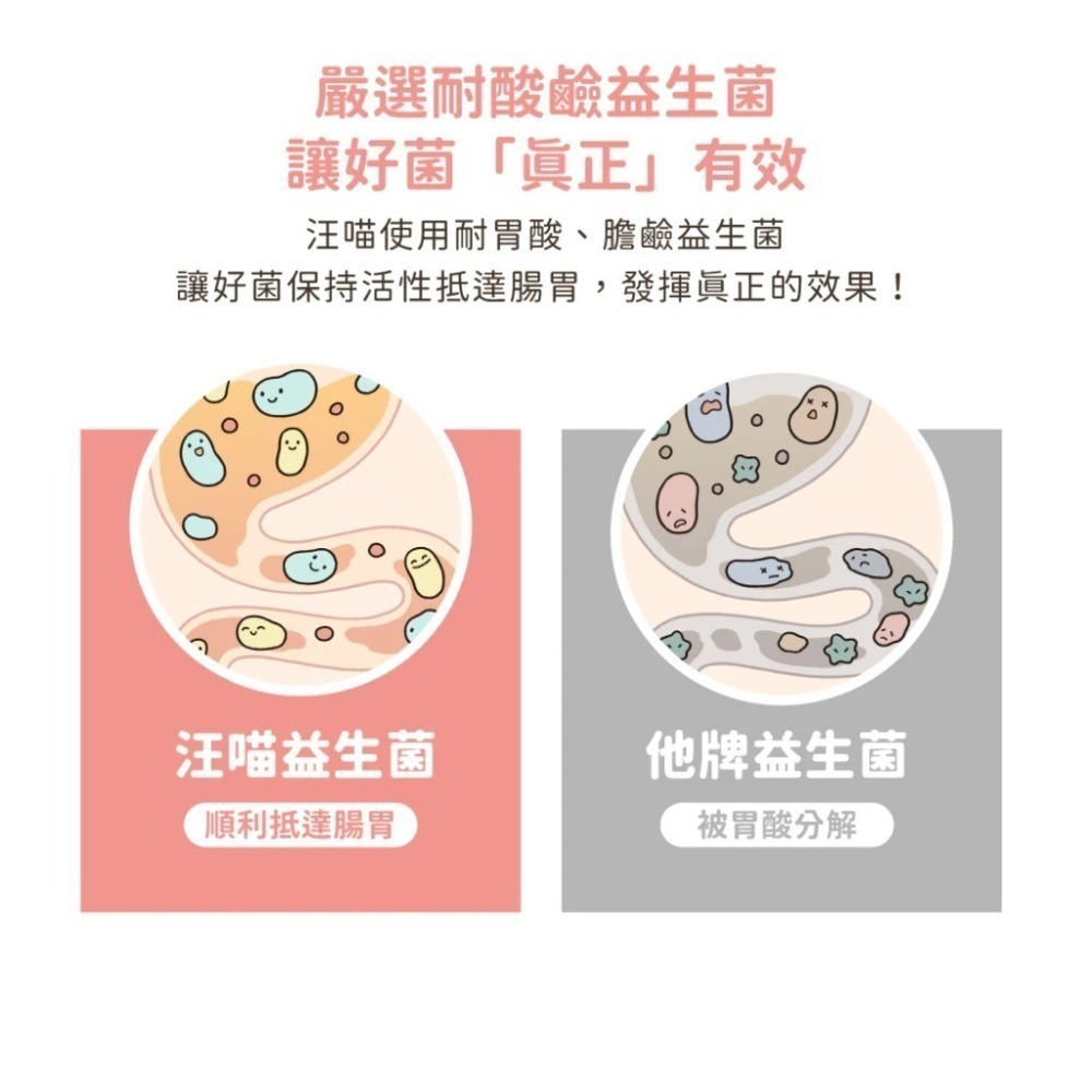 汪喵星球 皮膚益生菌 盒裝30包 2gx30包 益生菌 X 護膚營養 舒緩敏感更有感 新改版 配方升級-細節圖6