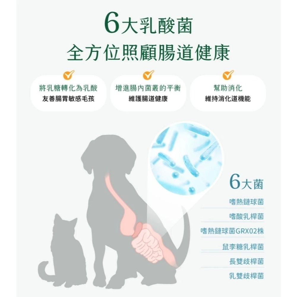 汪喵星球 汪喵星球×馬修嚴選 機能優格丁 零嘴 零食 純天然機能配方+ 貓犬適用 貓零食 狗零食-細節圖7