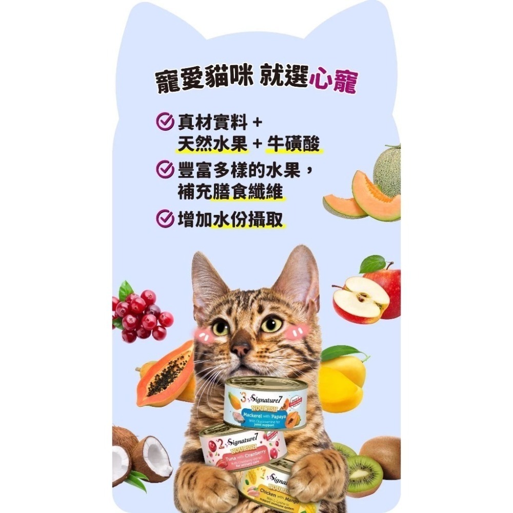 心寵signature7 貓咪水果湯罐 80g 湯罐 貓罐 罐頭 副食罐 泌尿保健化毛配方-細節圖3