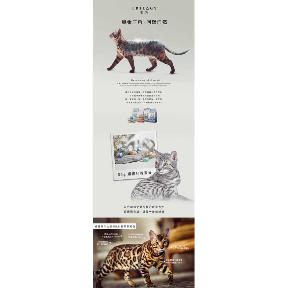TRILOGY 奇境 無穀燉雞湯貓罐 幼貓 全齡貓 無榖罐 雞燉雞湯罐55g 無穀貓罐 貓湯罐 主食貓罐-細節圖2