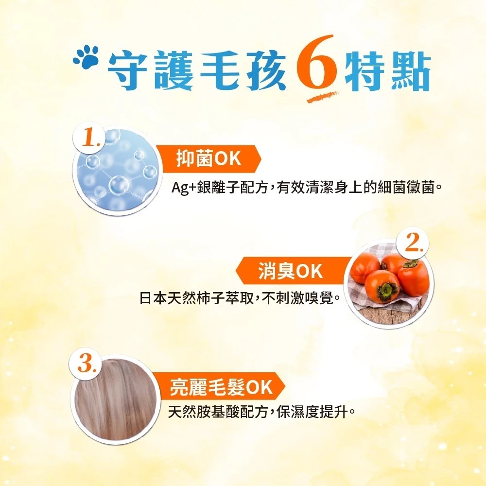 Petto貝多芬 寵物清潔濕巾 10抽 單包 濕紙巾 潔濕巾-細節圖5