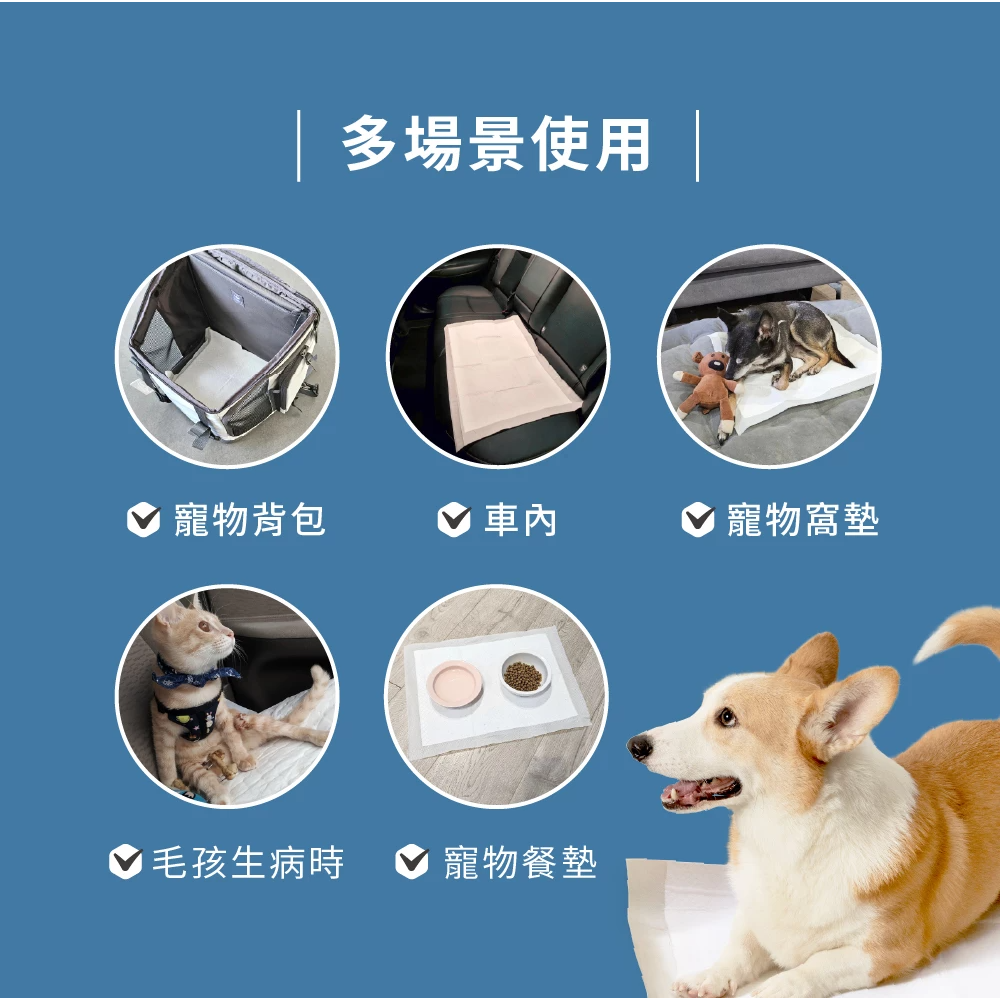 【汪喵星球】 MAX超瞬吸除臭尿布墊｜狗狗尿墊 單包  S/M/L 消臭瞬吸尿布墊-細節圖9