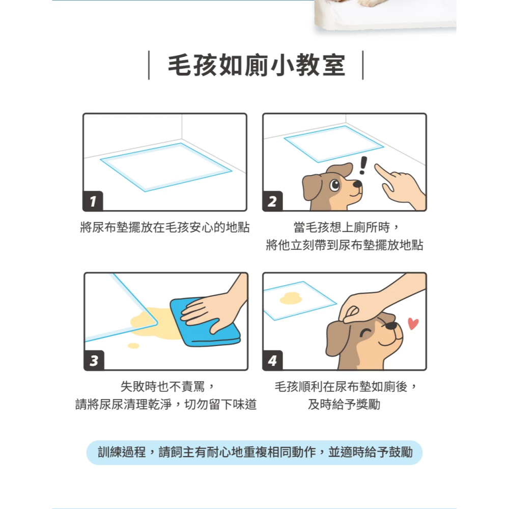 【汪喵星球】 MAX超瞬吸除臭尿布墊｜狗狗尿墊 單包  S/M/L 消臭瞬吸尿布墊-細節圖10