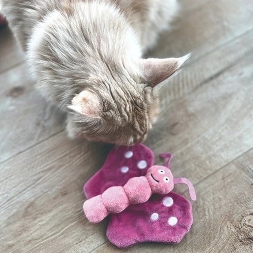 Aumüller 奧咪樂 德國貓草玩具(貓薄荷、木天蓼、斯佩耳特小麥殼)-細節圖4