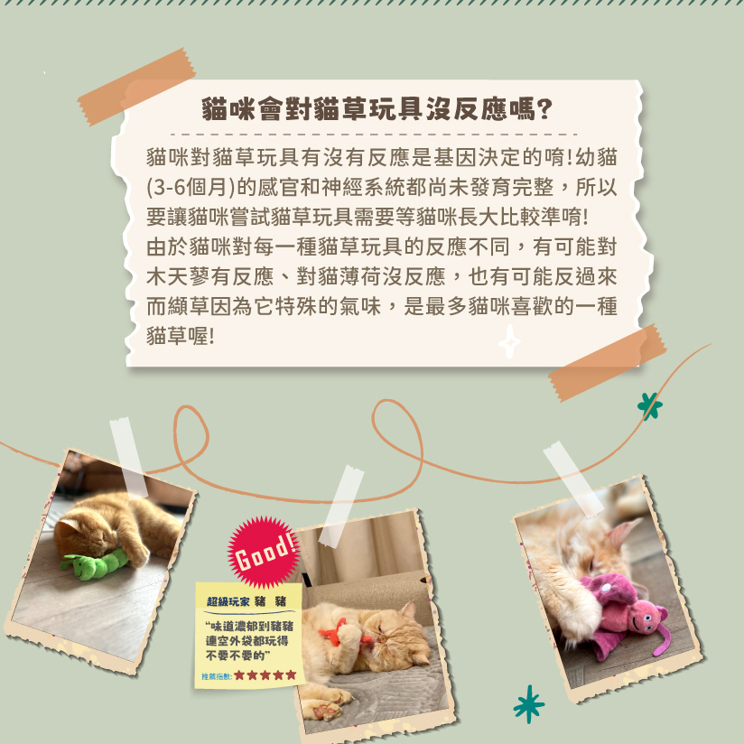 Aumüller 奧咪樂 德國貓草玩具(纈草根、斯佩耳特小麥殼)-細節圖9