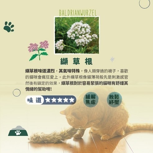 Aumüller 奧咪樂 德國貓草玩具(纈草根、斯佩耳特小麥殼)-細節圖5