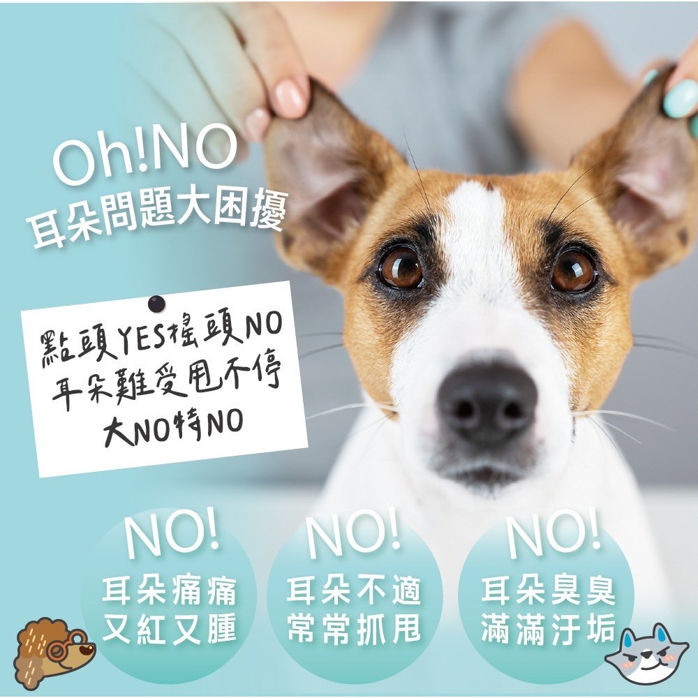 ODOUT 臭味滾 日常潔耳液200ml(除臭/低敏/耳道肌膚呵護/無香精/犬貓適用)-細節圖5