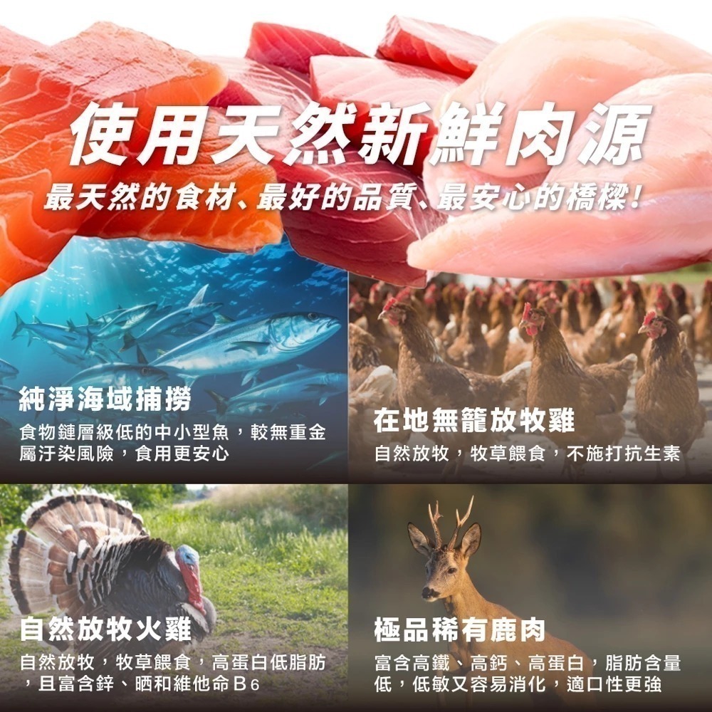 ParkCat 無敵貓糧 無穀貓飼料 無敵貓 貓樂園 2KG 天然無穀貓糧 超商最多2包!-細節圖2