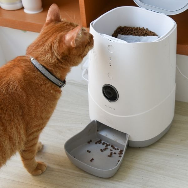 貓樂園-健康保鮮飼料活性碳【飼料保鮮】神奇新鮮好喵招 綠-細節圖2