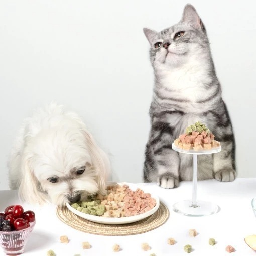 汪喵星球 機能保健丁 犬貓凍乾保健零食20g 貓零食 狗零食-細節圖3