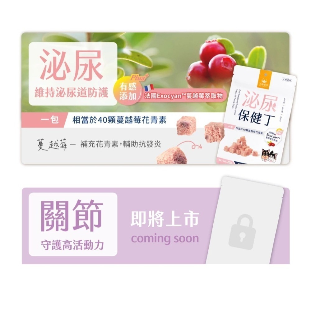 汪喵星球 機能保健丁 犬貓凍乾保健零食20g 貓零食 狗零食-細節圖6