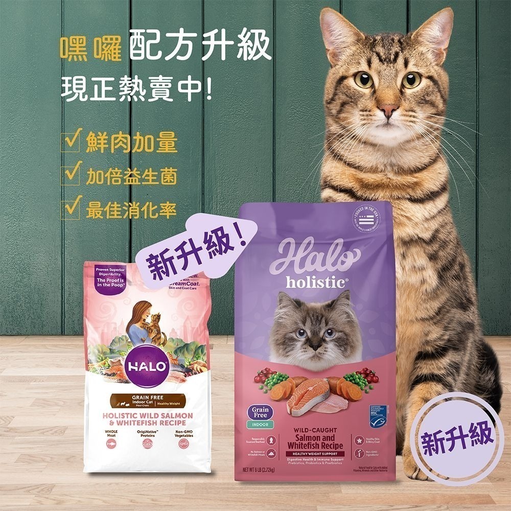 HALO 嘿囉 幼貓/成貓 無穀飼料 顆粒 300g/3磅/1.36kg 無穀飼料-細節圖2