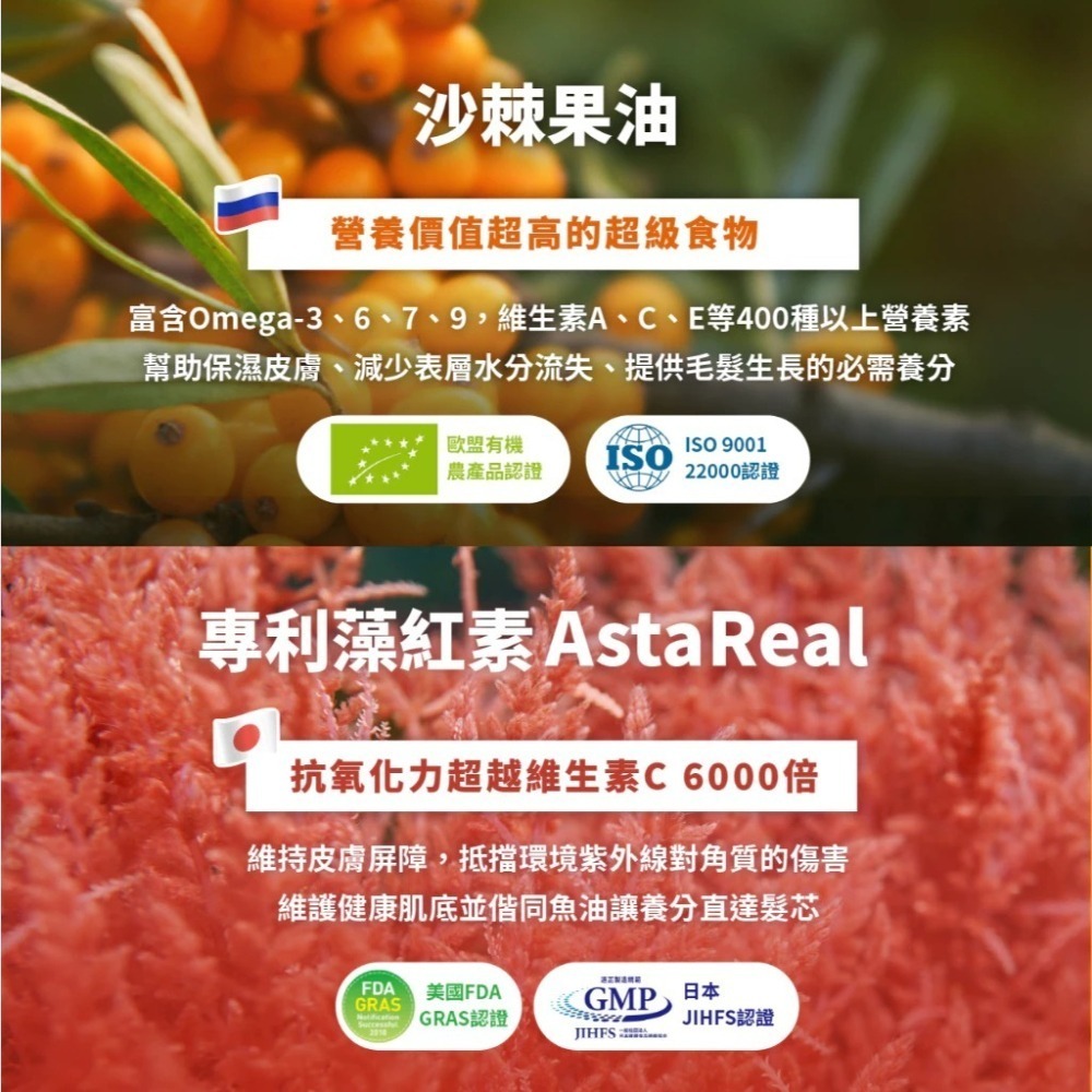怪獸部落 犬貓綜合營養補給 50G 牛離Q /益菌排毛粉 / 閃亮魚油-細節圖5