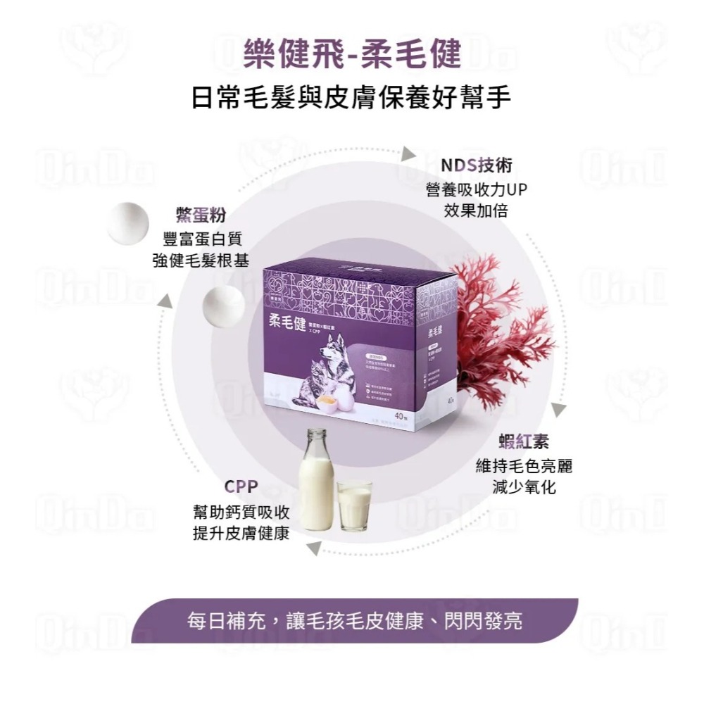 【樂健飛】皮毛｜柔毛健 鱉蛋粉+蝦紅素+CPP+NDS (15包/盒)、(40包/盒)-細節圖5