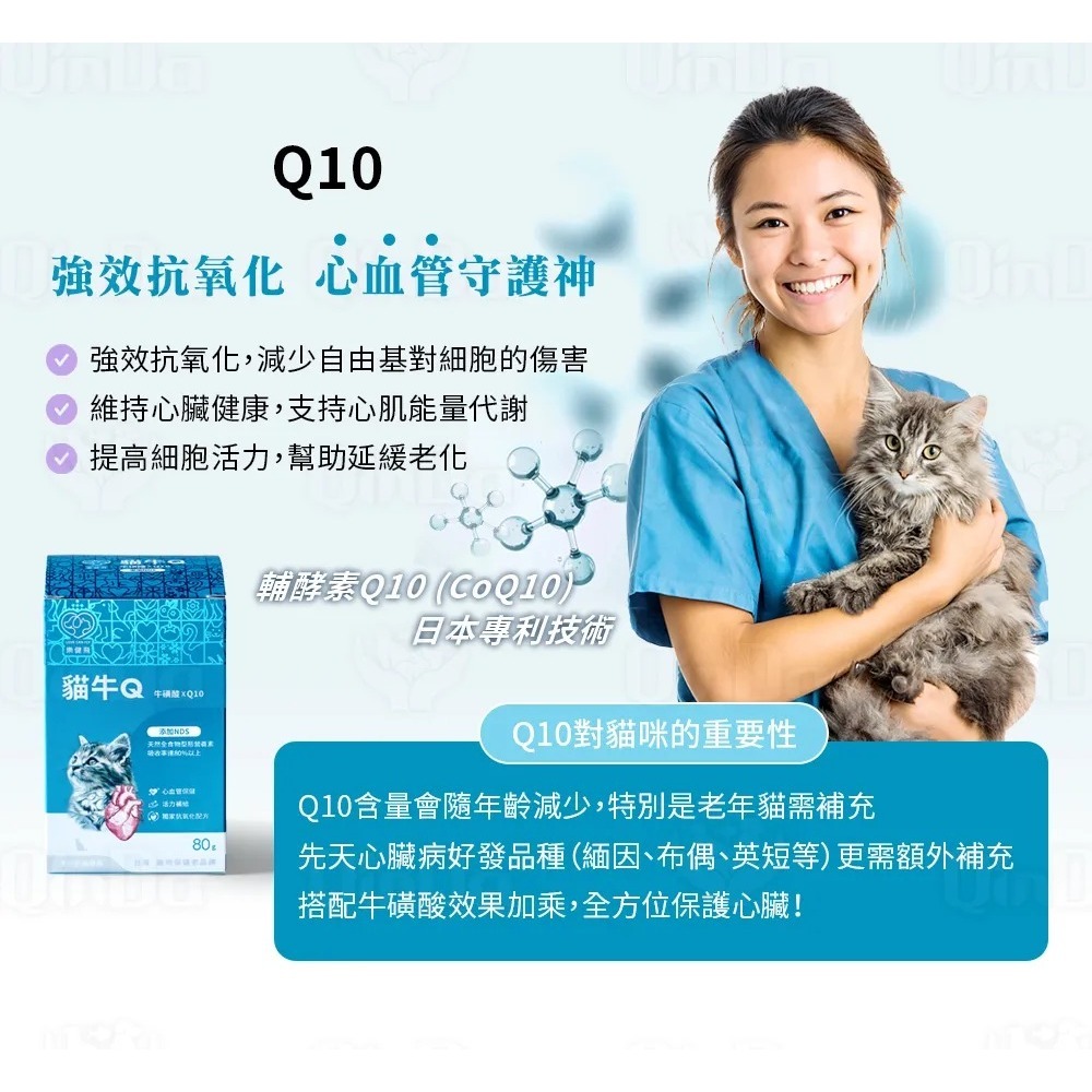 樂健飛 日常補給｜貓牛Q牛磺酸+Q10+NDS 80g/盒-細節圖5