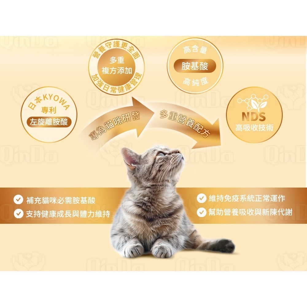 樂健飛 免疫力｜胺安疫 離胺酸+甘胺酸+蔓越莓+NDS技術 (30包/盒)、(90包/盒)-細節圖7