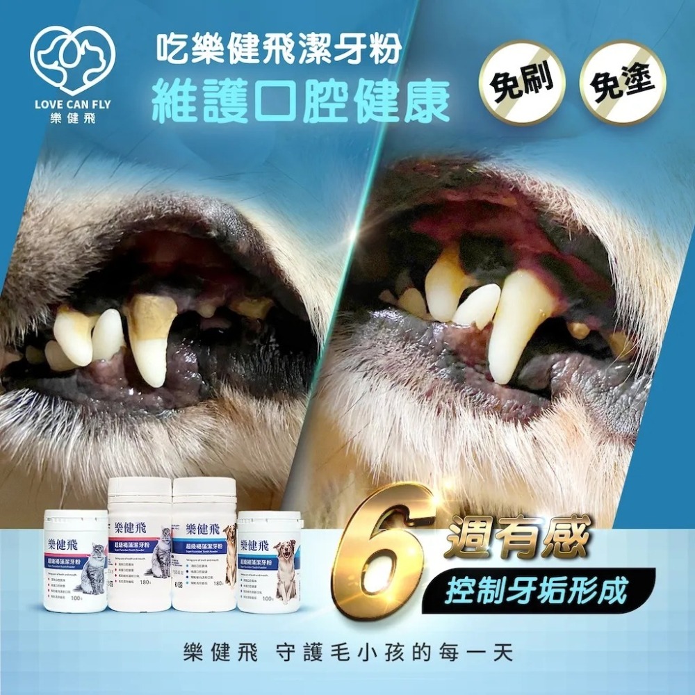 樂健飛 口腔｜犬用超級褐藻潔牙粉20G/40G/100G/180G-細節圖2