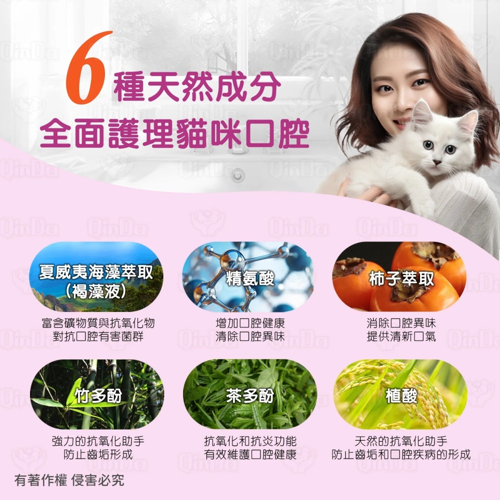 樂健飛 貓貓口腔｜貓用 160ml 褐藻潔牙凝膠-細節圖4