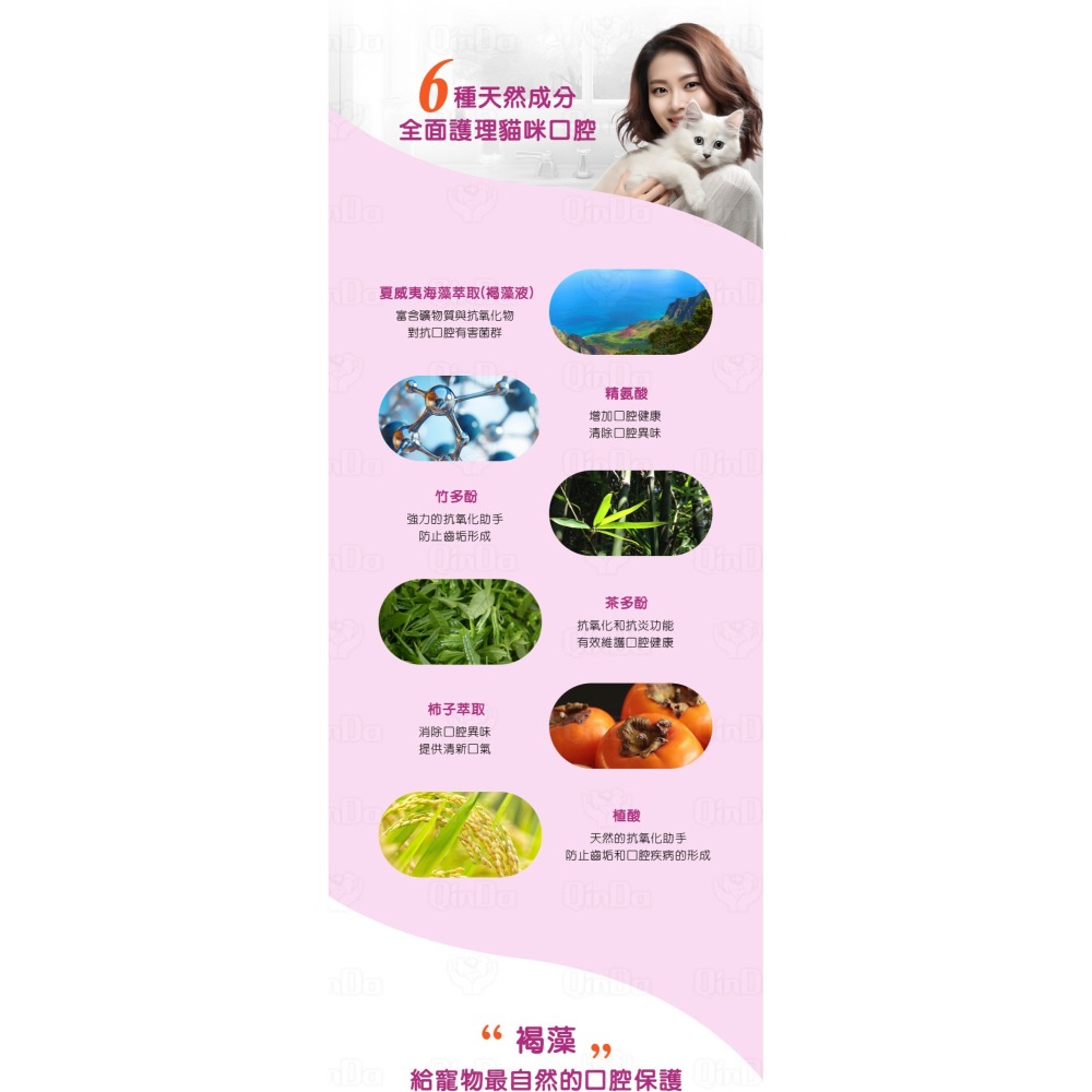 樂健飛 貓貓口腔｜貓用 160ml 褐藻潔牙凝膠-細節圖7