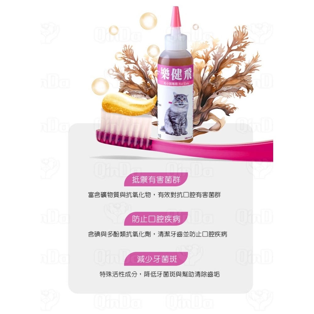 樂健飛 貓貓口腔｜貓用 160ml 褐藻潔牙凝膠-細節圖8