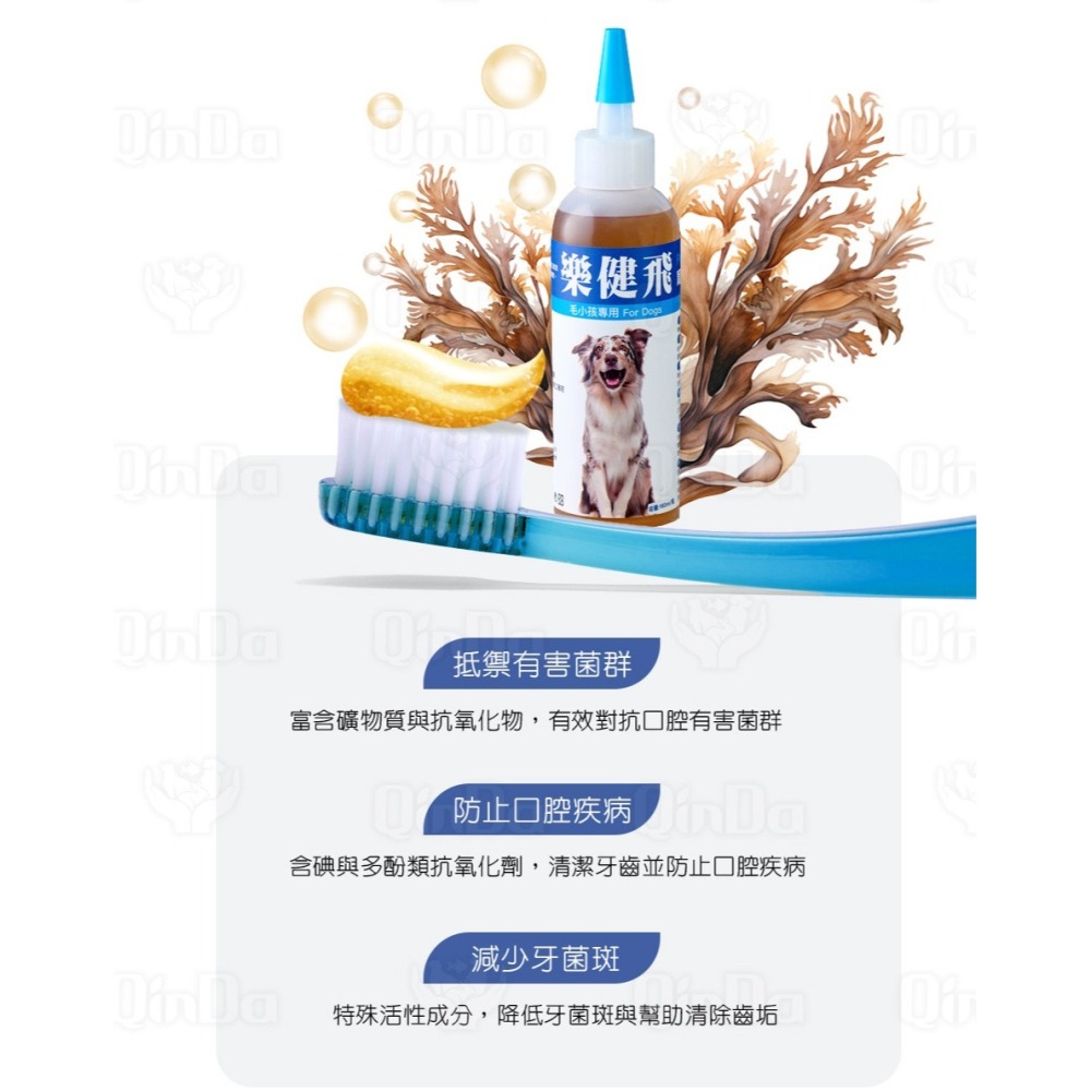 【花媽寵物用品店】 樂健飛 狗狗口腔｜犬用 褐藻潔牙凝膠 160ml-細節圖3