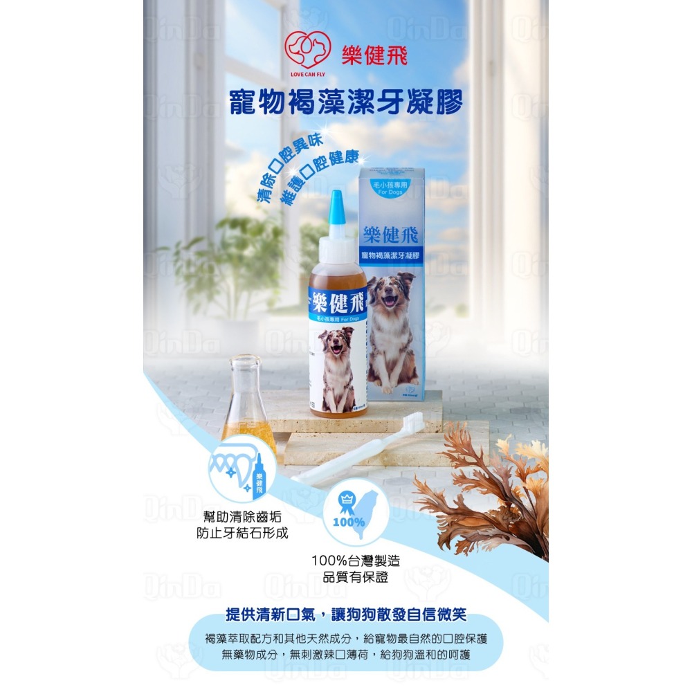 【花媽寵物用品店】 樂健飛 狗狗口腔｜犬用 褐藻潔牙凝膠 160ml-細節圖6