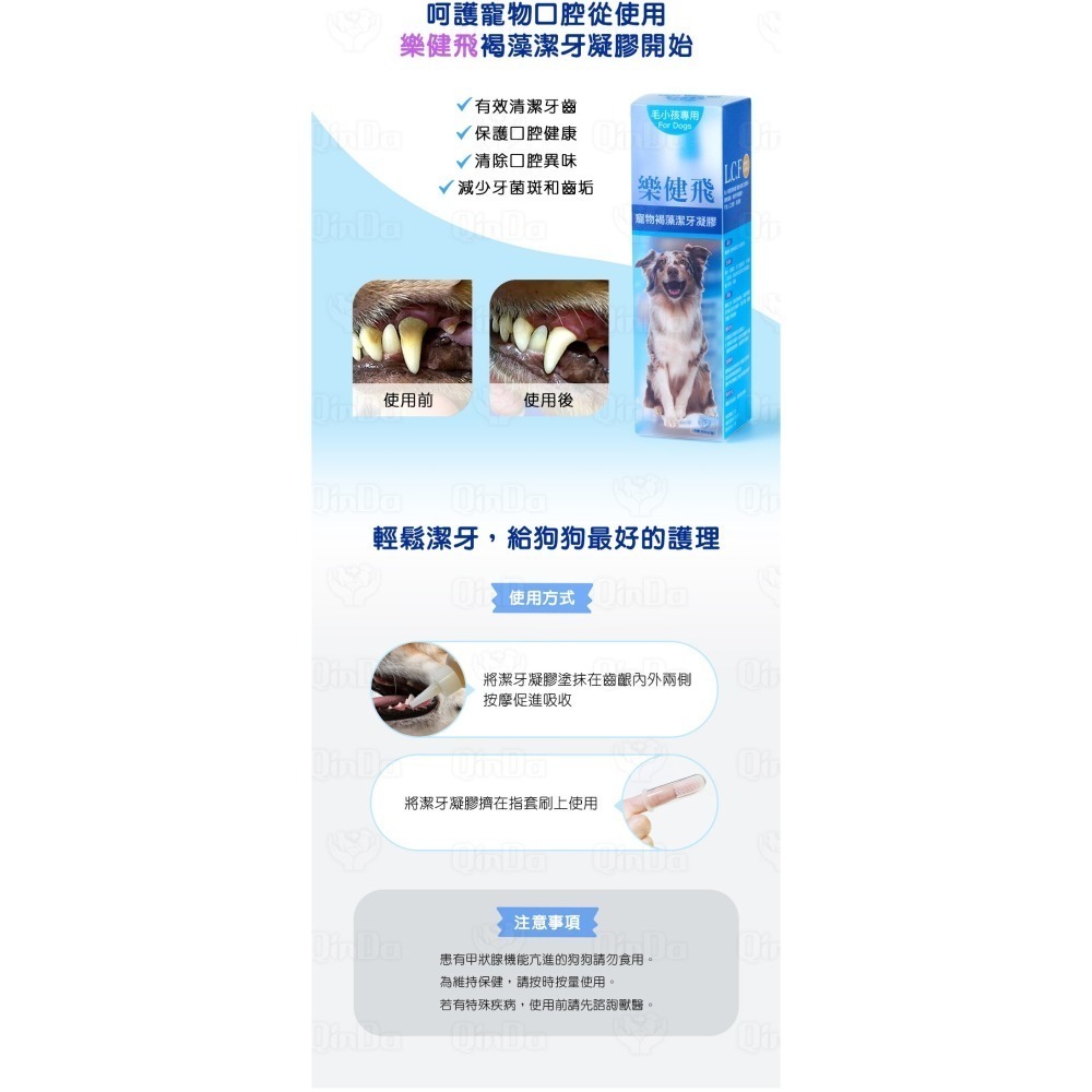 樂健飛 狗狗口腔｜犬用 褐藻潔牙凝膠 160ml-細節圖3