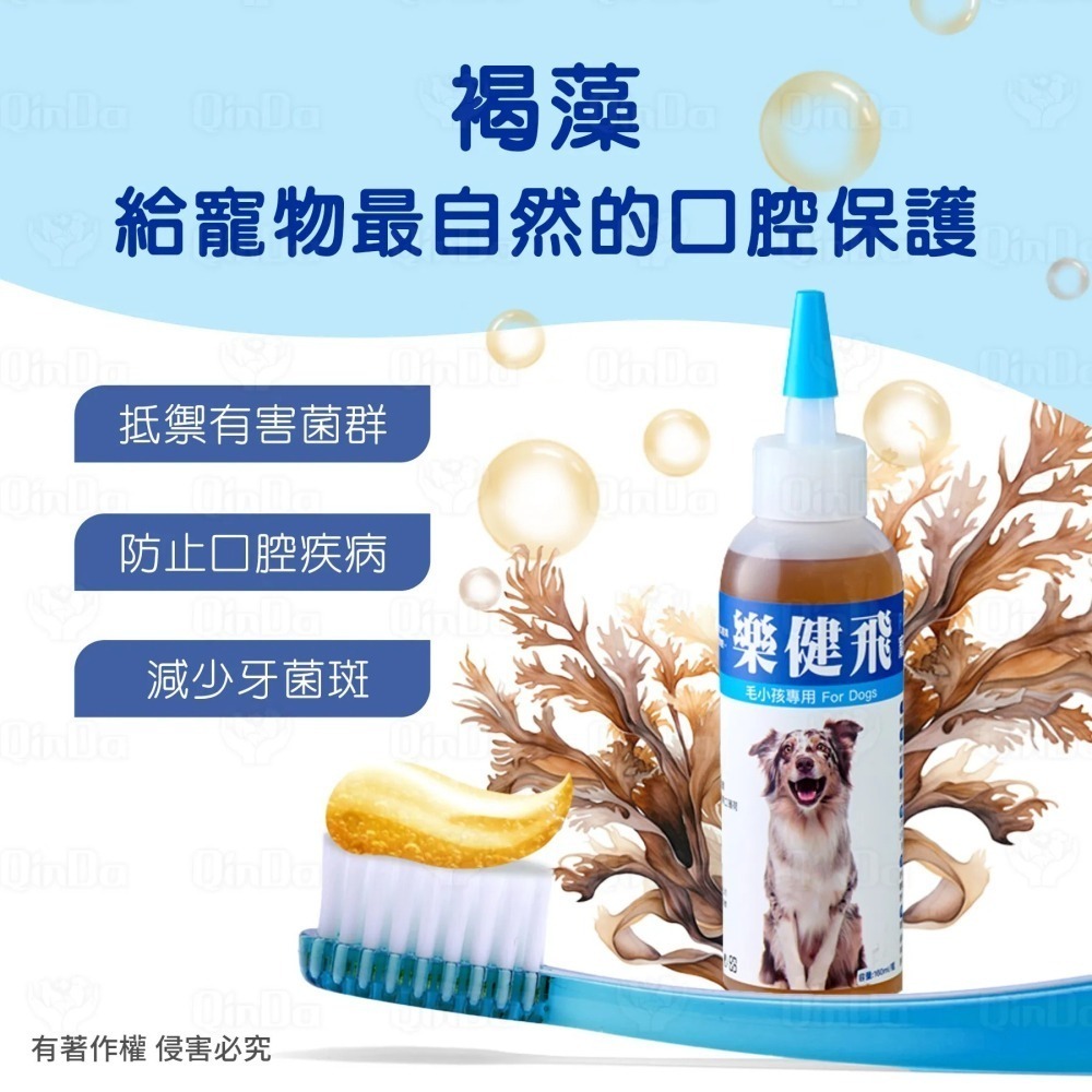樂健飛 狗狗口腔｜犬用 褐藻潔牙凝膠 160ml-細節圖9