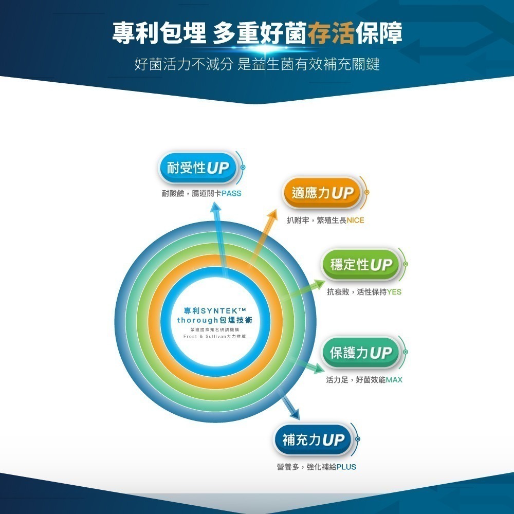 木入森 狗狗腸胃益生菌 30包/盒(犬寶變不臭 寵物益生菌 幫助狗消化吸收 減少排便異味)-細節圖7