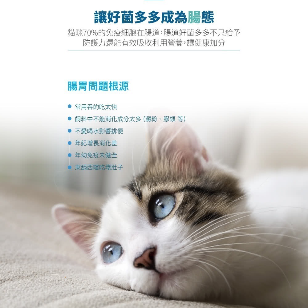 木入森 貓咪活菌寶 貓咪益生菌30包/盒(貓咪益生菌 綜合酵素 貓咪腸胃保健食品 寵物益生菌)-細節圖2