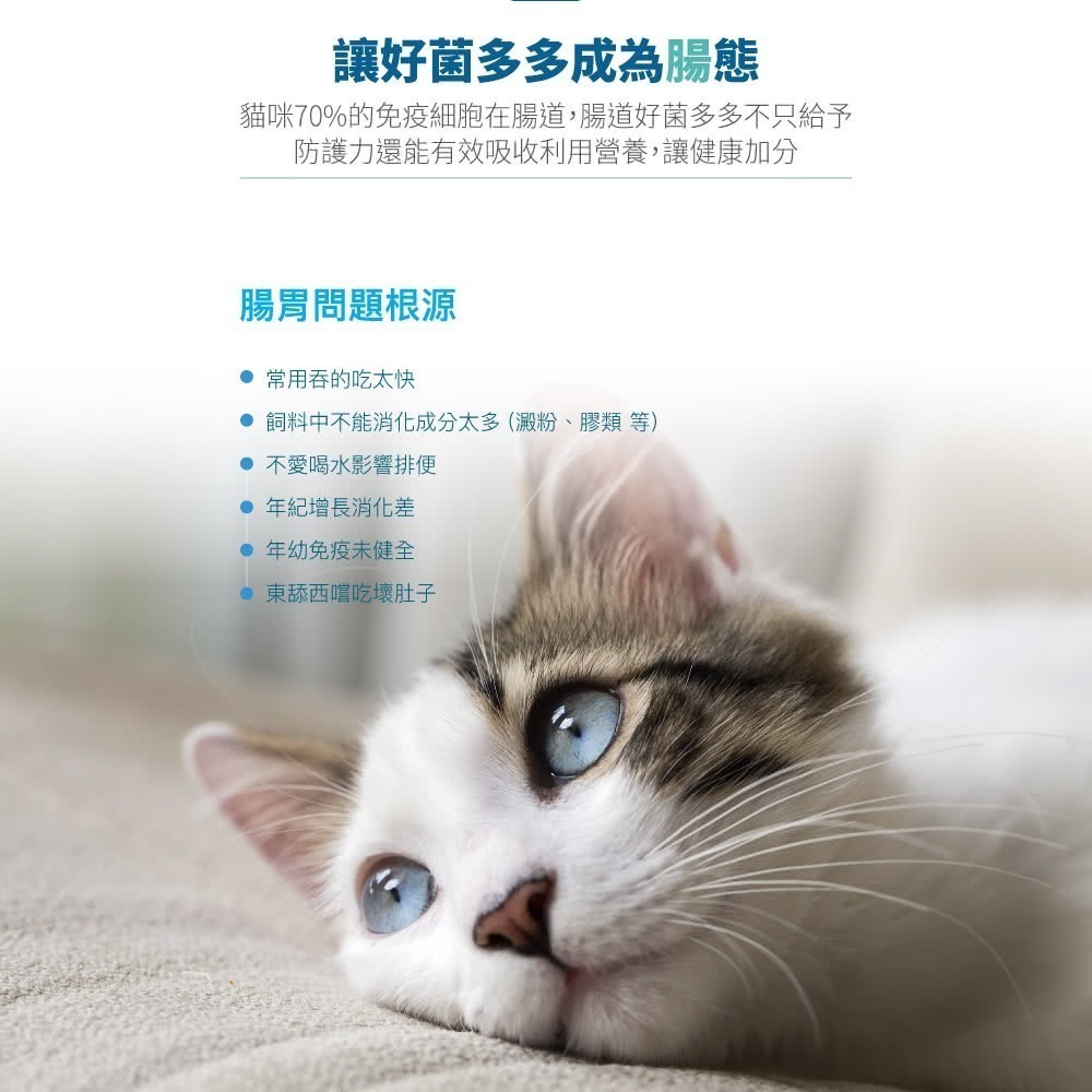 木入森 貓咪活菌寶 貓咪益生菌30包/盒(貓咪益生菌 綜合酵素 貓咪腸胃保健食品 寵物益生菌)-細節圖2
