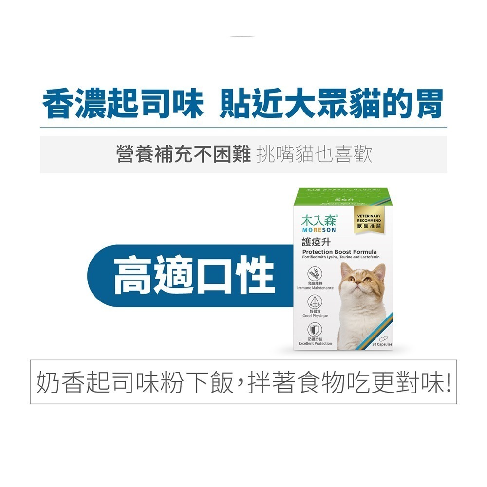 MORESON 木入森 護疫升 60粒/盒（貓寶專用保健食品）(綜合營養保健)-細節圖3