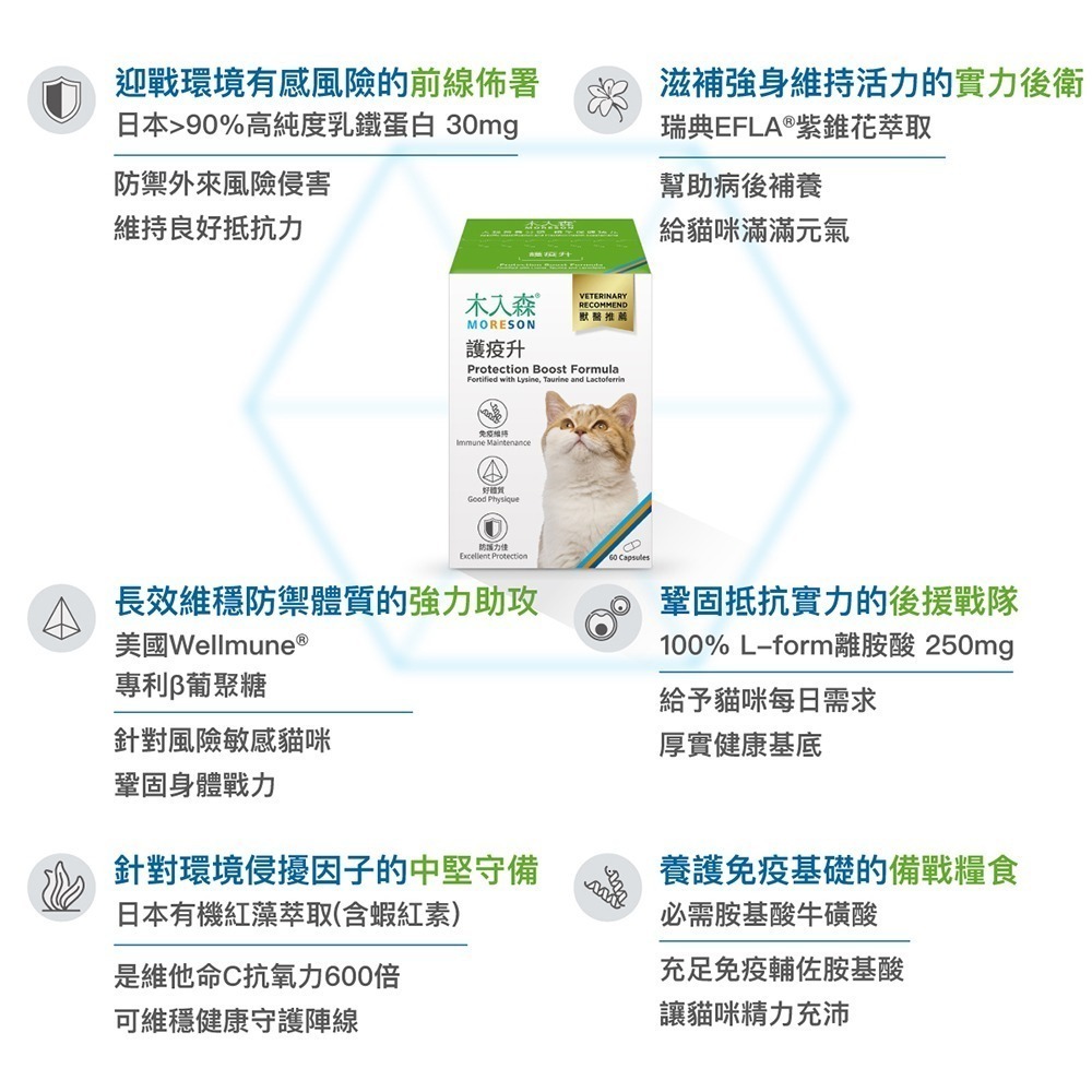 MORESON 木入森 護疫升 60粒/盒（貓寶專用保健食品）(綜合營養保健)-細節圖4