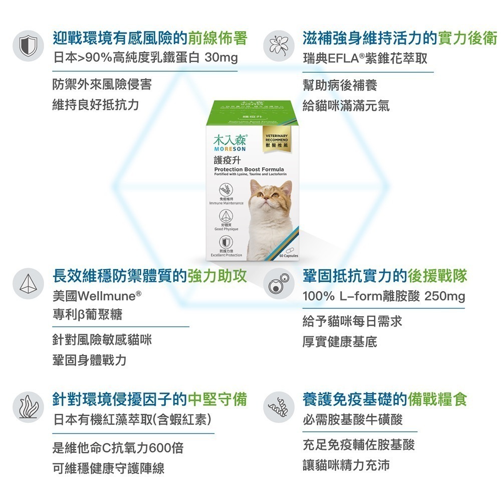 MORESON 木入森 護疫升 60粒/盒（貓寶專用保健食品）(綜合營養保健)-細節圖4