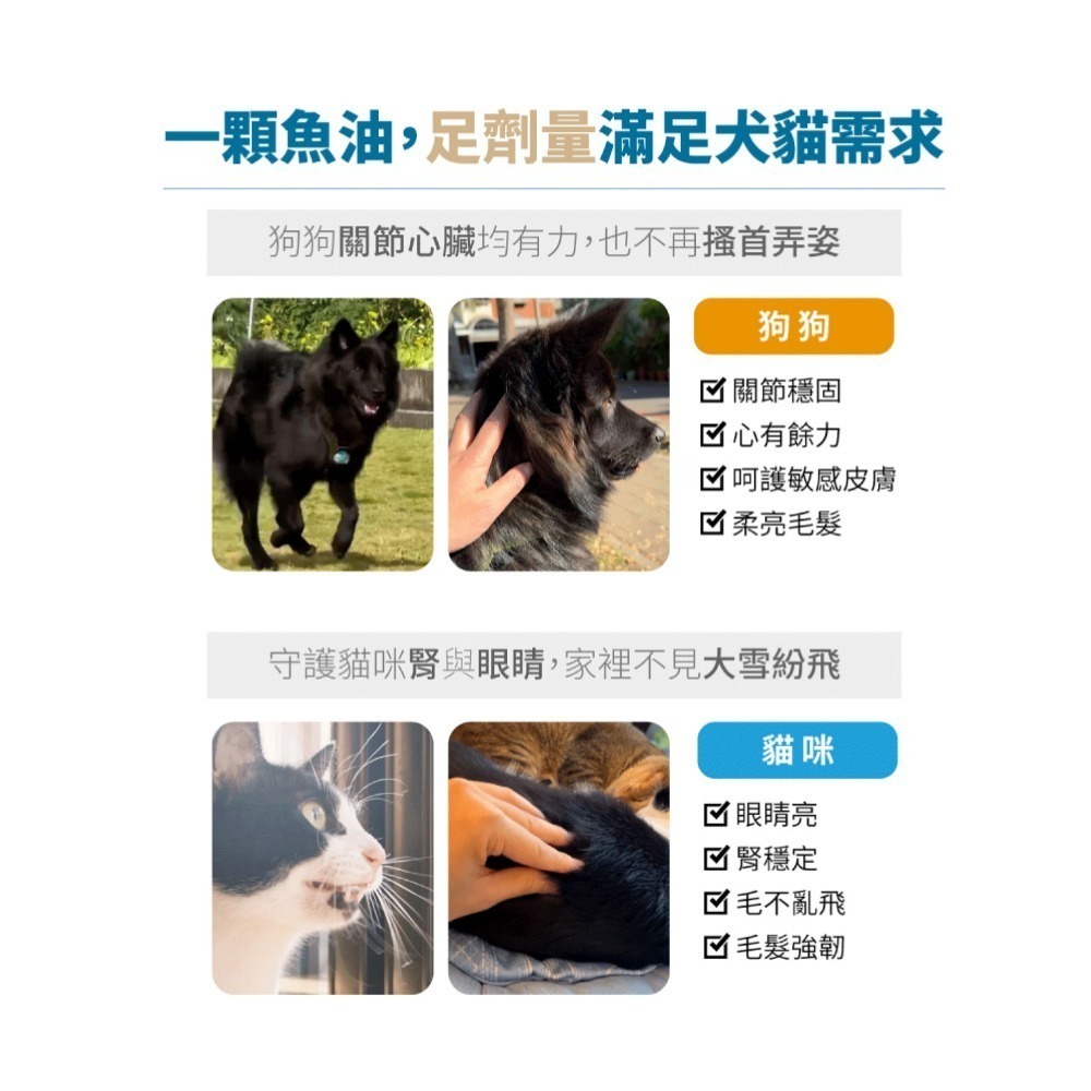 木入森 高EPA寵物魚油 60顆/盒(膠囊/貓狗魚油/寵物魚油/寵物保健)-細節圖6