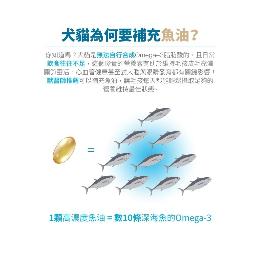木入森 高EPA寵物魚油 60顆/盒(膠囊/貓狗魚油/寵物魚油/寵物保健)-細節圖4
