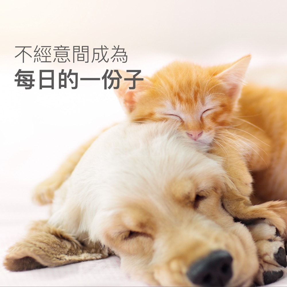 木入森 寵物魚油粉 30包/盒(粉狀腥味少 貓狗愛吃 Omega-3 皮膚保健 守護眼睛)-細節圖6