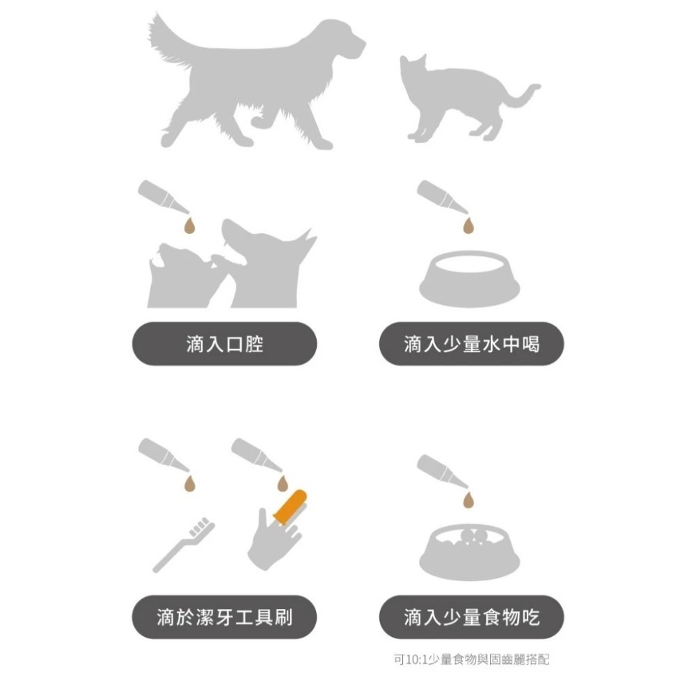 MORESON 木入森 貓咪固齒麗口滴劑30ml/罐 貓咪專用 口腔-細節圖7