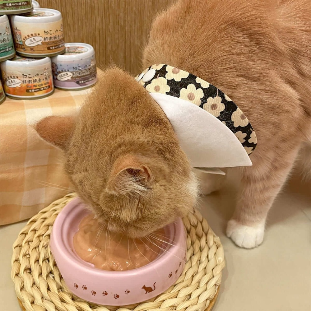 吶一口 無榖機能主食泥罐 60g 機能 主食罐-細節圖4