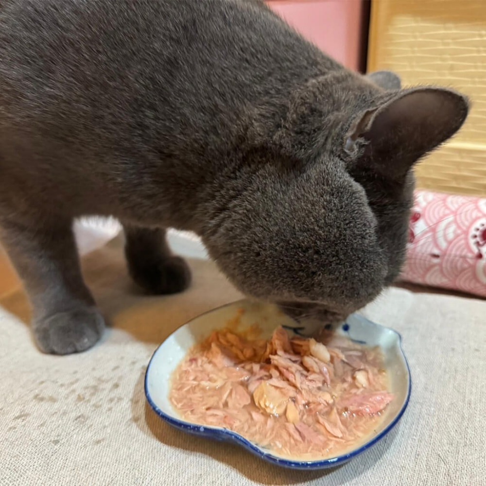 吶一口 貓湯罐 80g 湯罐 貓咪罐頭 副食罐 補水-細節圖6