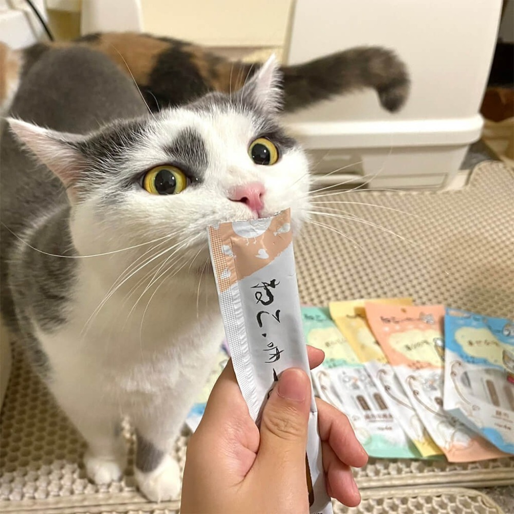 吶一口貓肉泥 15G 4入/包 貓肉泥 貓零食 肉泥條 貓咪點心 貓咪食品 全齡貓-細節圖4