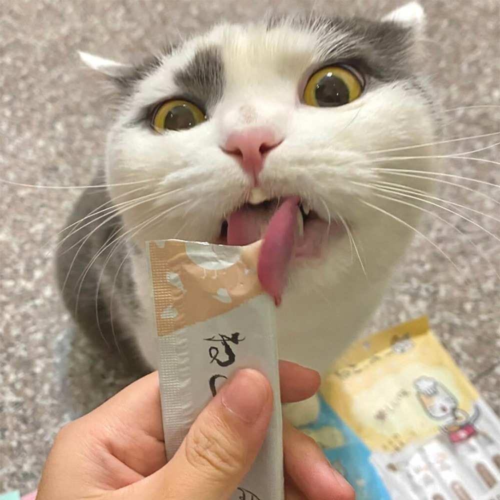 買5包送1包 吶一口貓肉泥 15G 4入/包 貓肉泥 貓零食 肉泥條 貓咪點心 貓咪食品 全齡貓-細節圖5