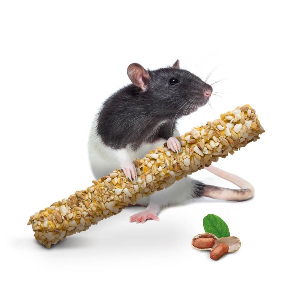 Little One 小動物點心草草棒 蔬菜棒 堅果點心棒 漿果點心棒 水果棒 花草棒 鼠 兔 龍貓-細節圖5