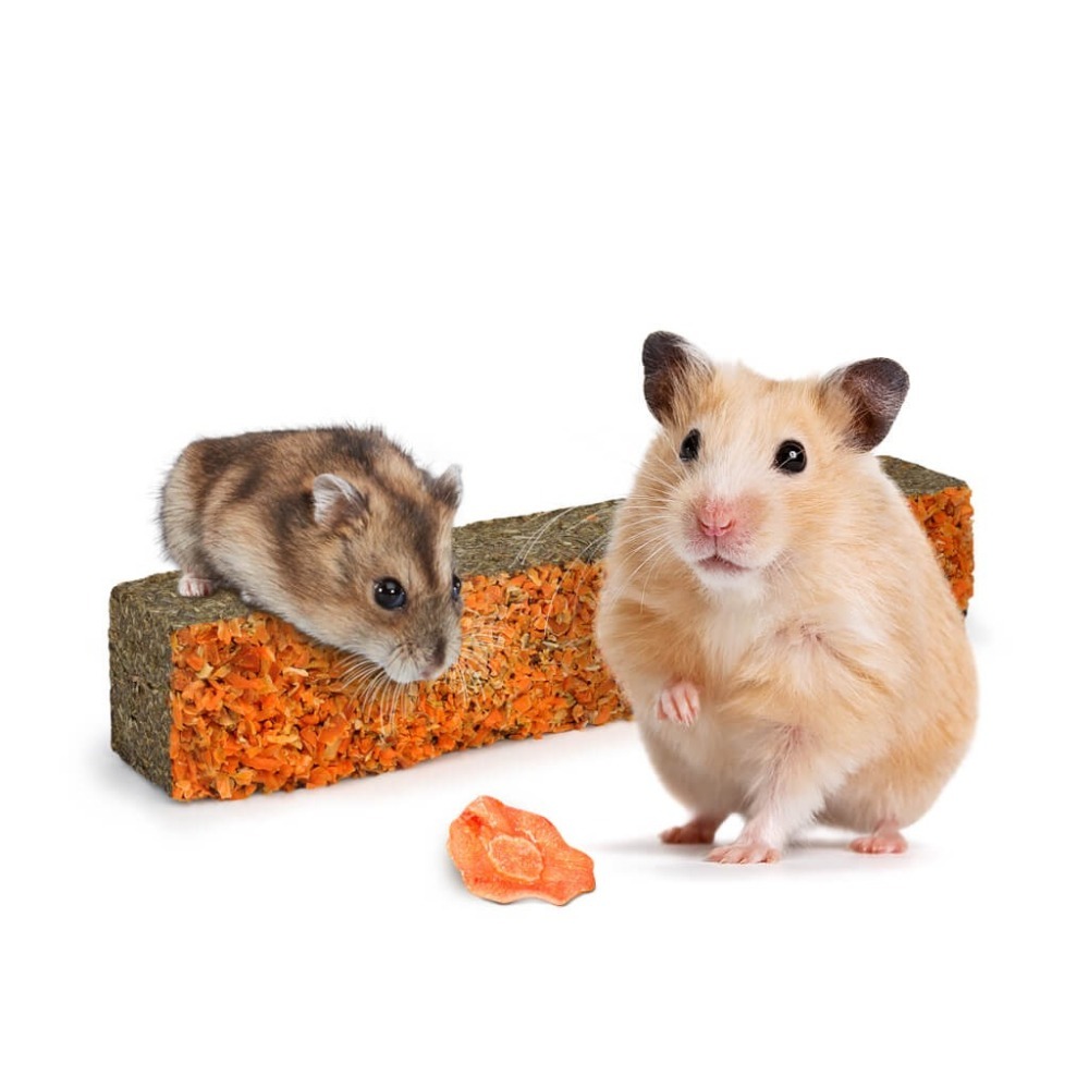 德國 Little ONE 零食玩具小花園 85g*9(盒)/單條85g-細節圖3