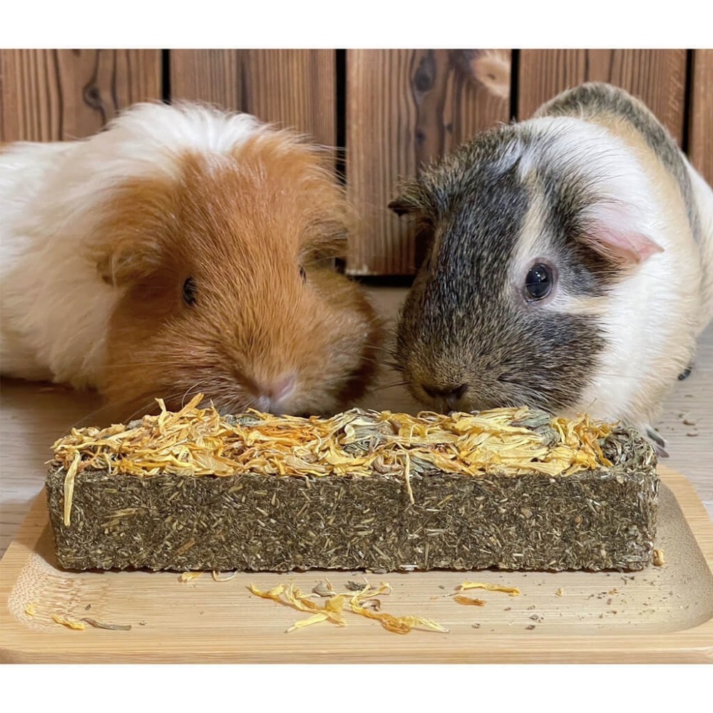 德國 Little ONE 零食玩具小花園 85g*9(盒)/單條85g-細節圖6