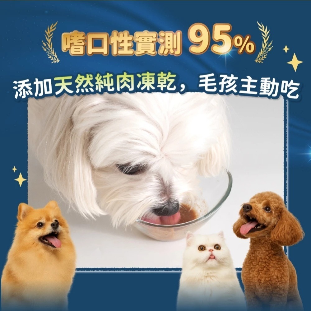 汪喵星球 呼吸道保健 盒裝30包 2G/包 貓狗 保健品-細節圖6